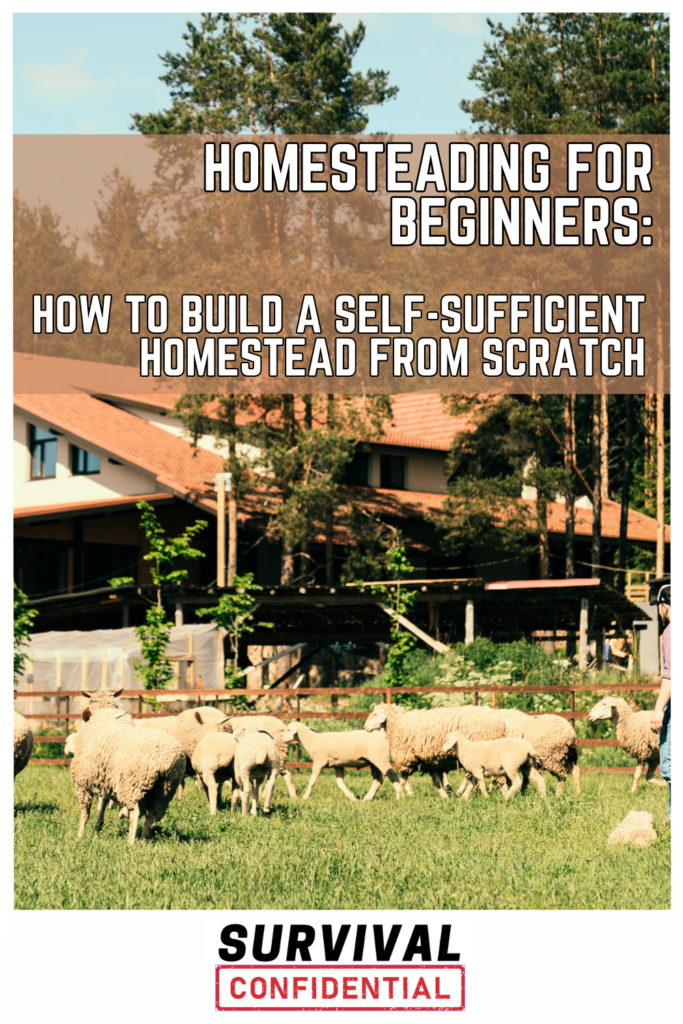 homesteading for beginners