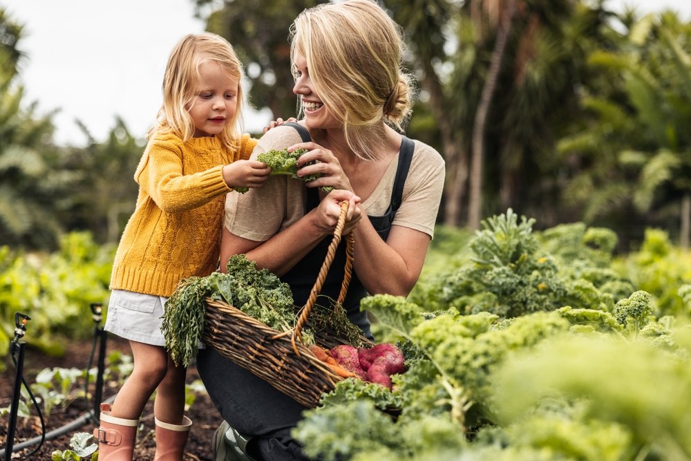 homesteading for beginners