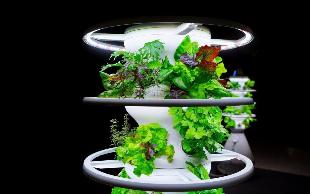 How To Start a Hydroponic Garden
