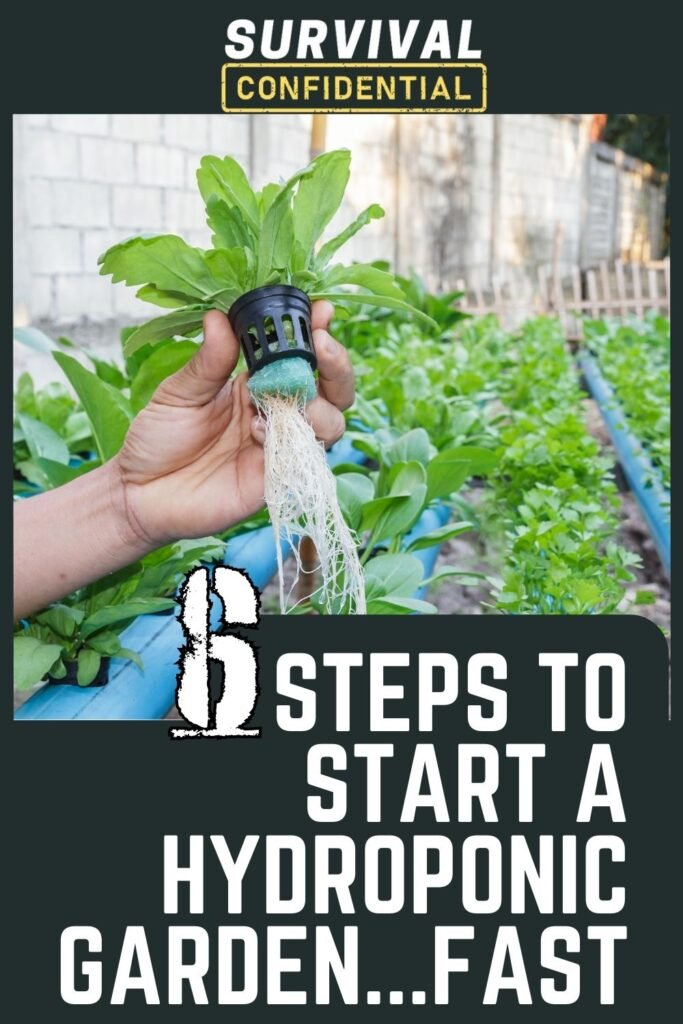 How To Start a Hydroponic Garden